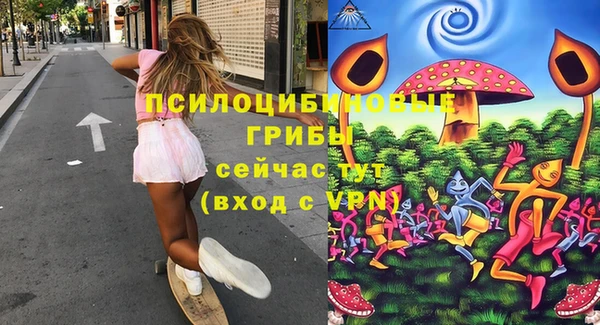крисы Осинники