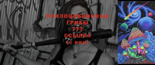 дживик Няндома