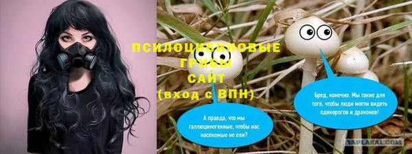 прущие крисы Осташков