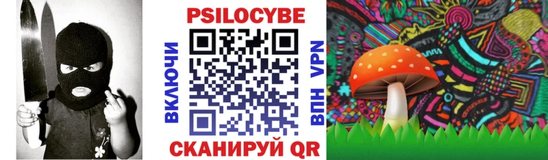 блэк спрут tor  сайты даркнета телеграм  Галлюциногенные грибы Psilocybine cubensis  Лаишево 